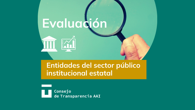Evaluación Sector público institucional 2025