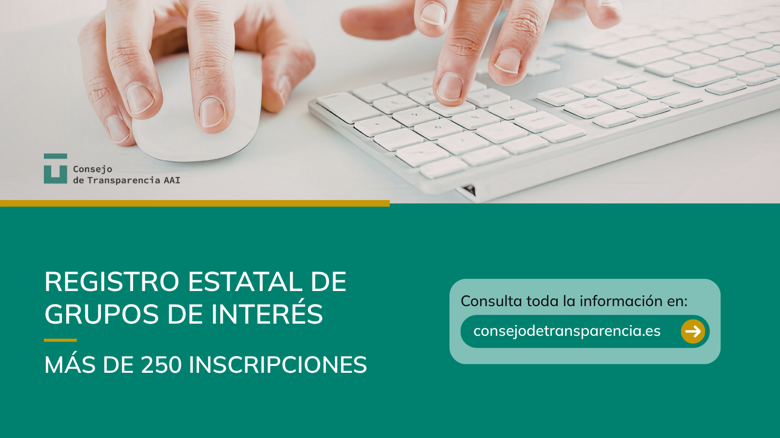 más de 200 inscripciones presentadas