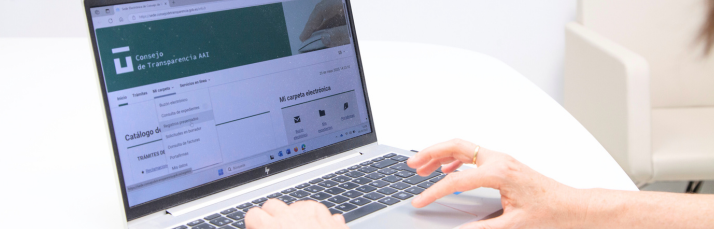 hands on a laptop with the Council's electronic headquarters open