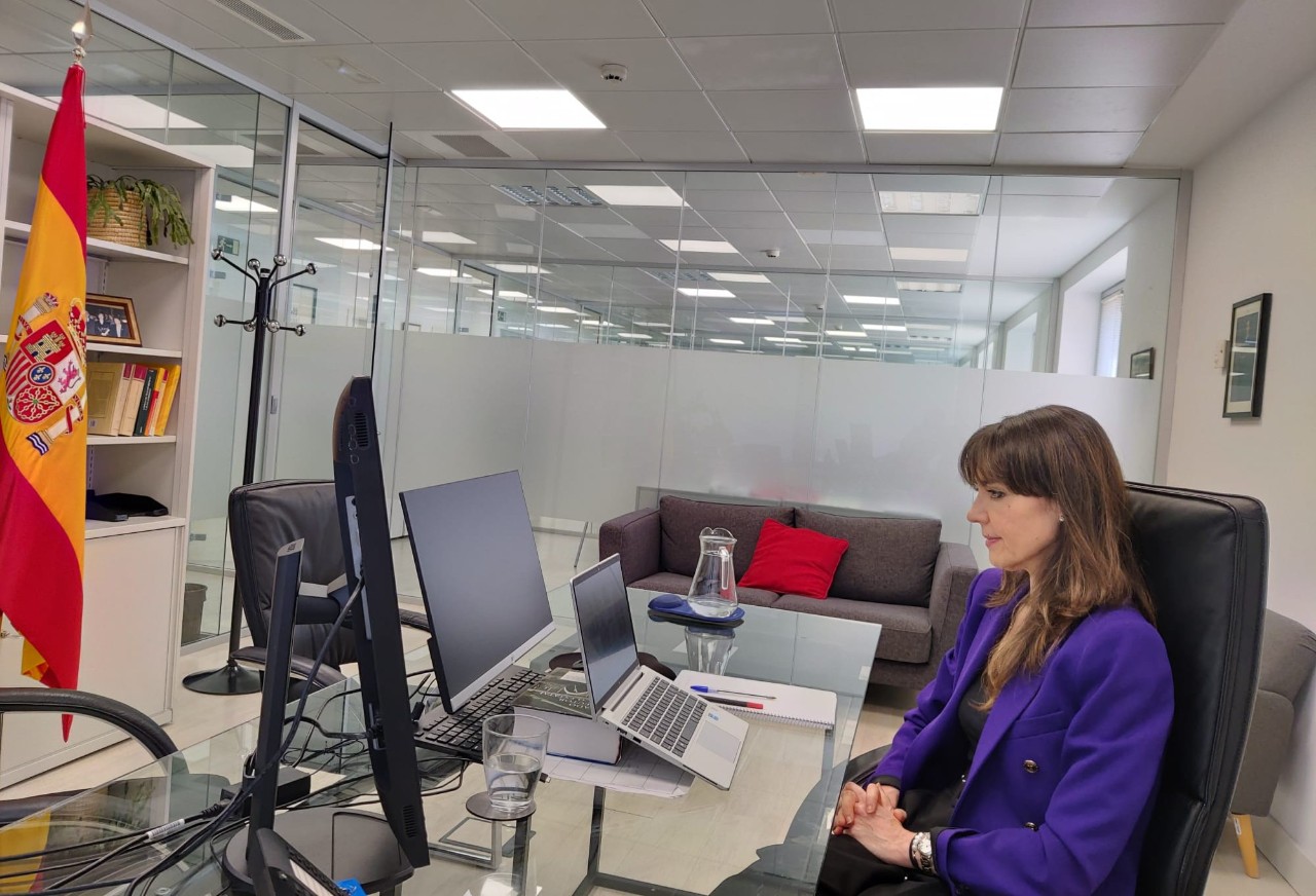 Concepción Campos na primeira asemblea de ENTRI, celebrada telematicamente